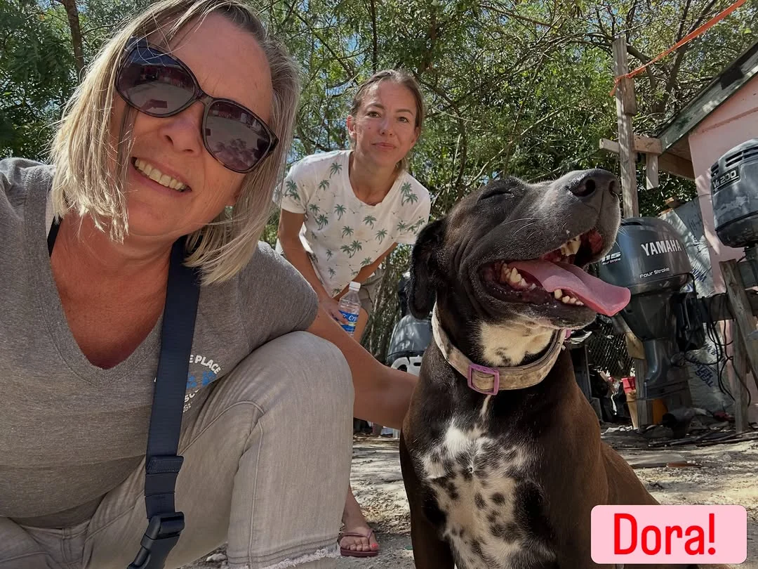 Dora grinning in the sun beside two volunteers crouched next to her